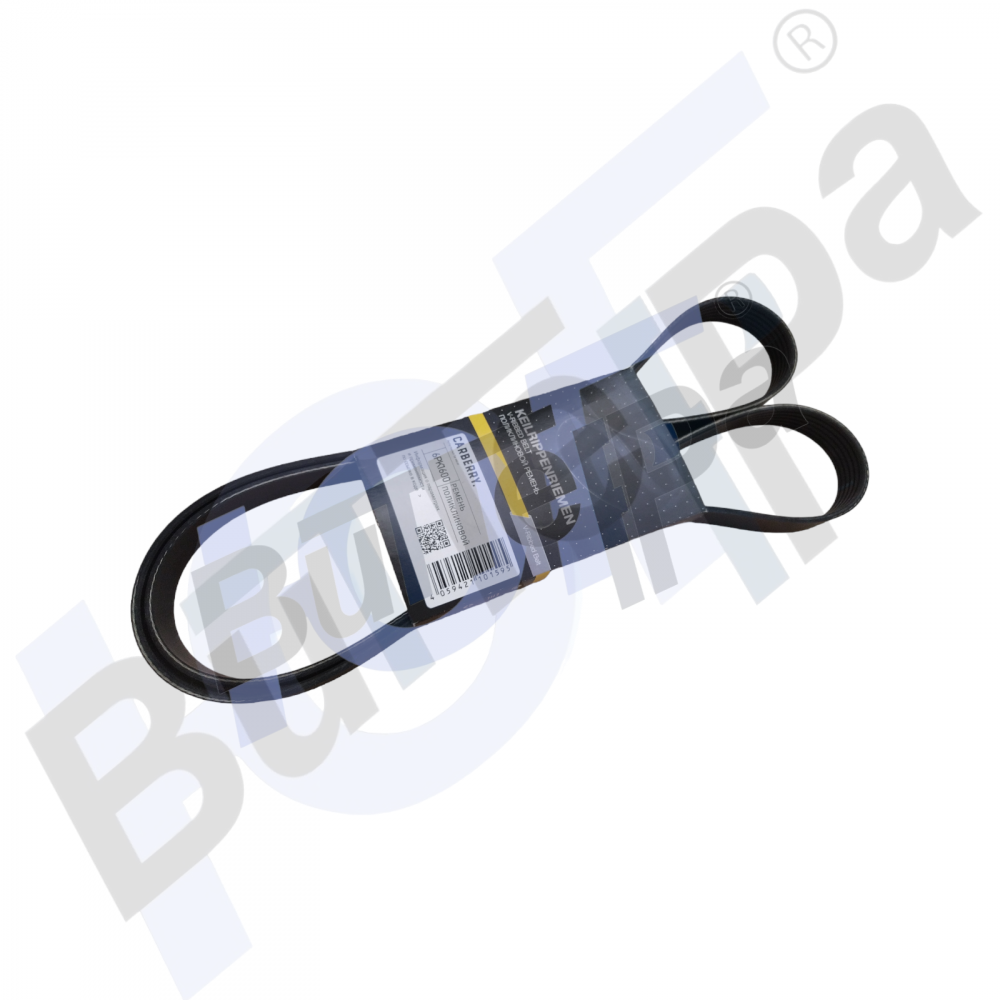6PK1600 | Ремень CARBERRY 6PK1600
