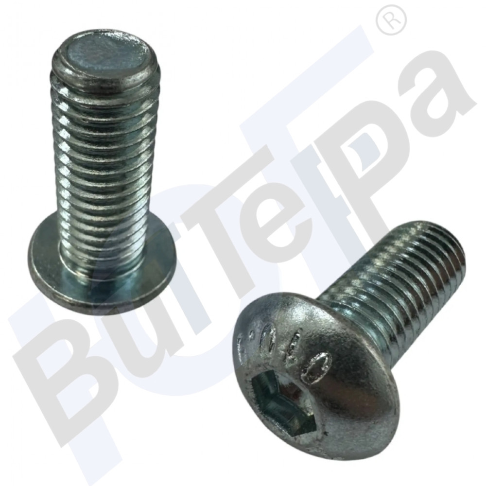 Винт М10х25.10.9 zn ISO 7380 на ЖСУ, FS, CS